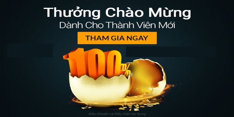 Nội dung của chương trình khuyến mãi nạp đầu của 8Day